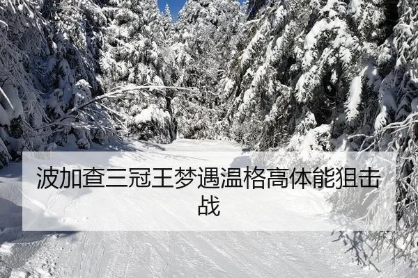 bo-jia-cha-san-guan-wang-meng-yu-wen-ge-gao-ti-neng-ju-ji-zhan-2-248.jpg