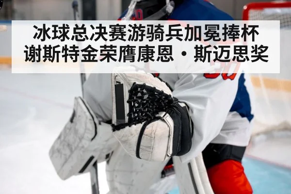 冰球总决赛游骑兵加冕捧杯 谢斯特金荣膺康恩·斯迈思奖
